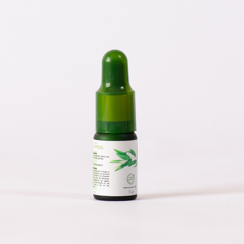Huile essentielle d'Eucalyptus 10ml |زيت الأوكالبتوس الأساسي